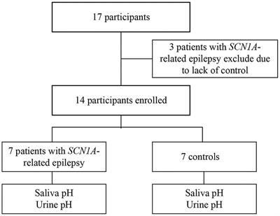 A rise in saliva and urine pH in children with SCN1A-related epilepsy: An exploratory prospective controlled study